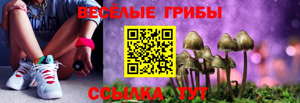 Аксай  Галлюциногенные грибы Cubensis  Вход с VPN  Галлюциногенные грибы Psilocybe 
